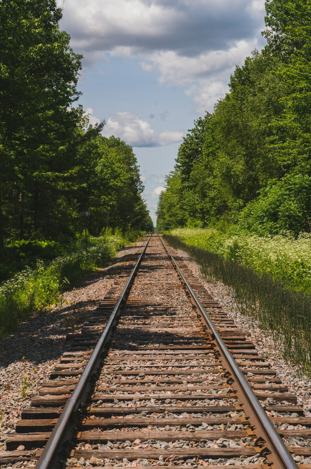 Old railway tracks stretching into the distance